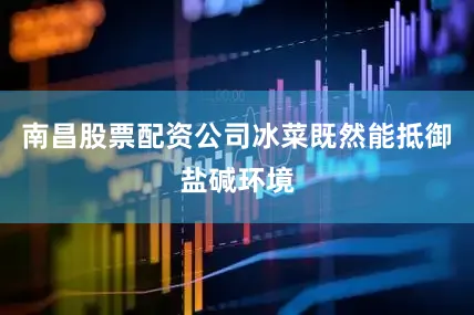 南昌股票配资公司冰菜既然能抵御盐碱环境