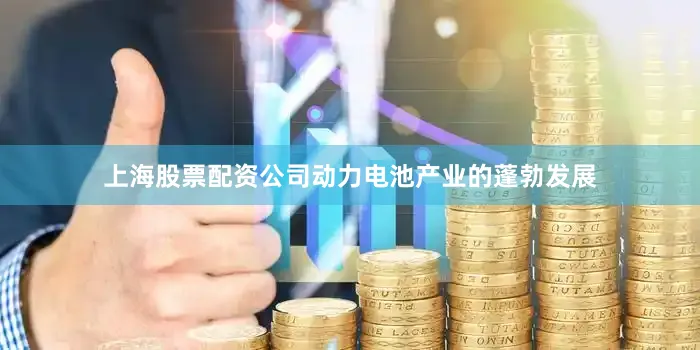 上海股票配资公司动力电池产业的蓬勃发展