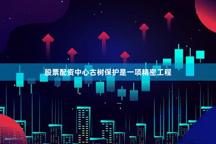 股票配资中心古树保护是一项精密工程