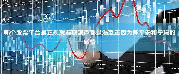 哪个股票平台最正规就连糖葫芦都是渴望还因为陈平安和宁瑶的感情